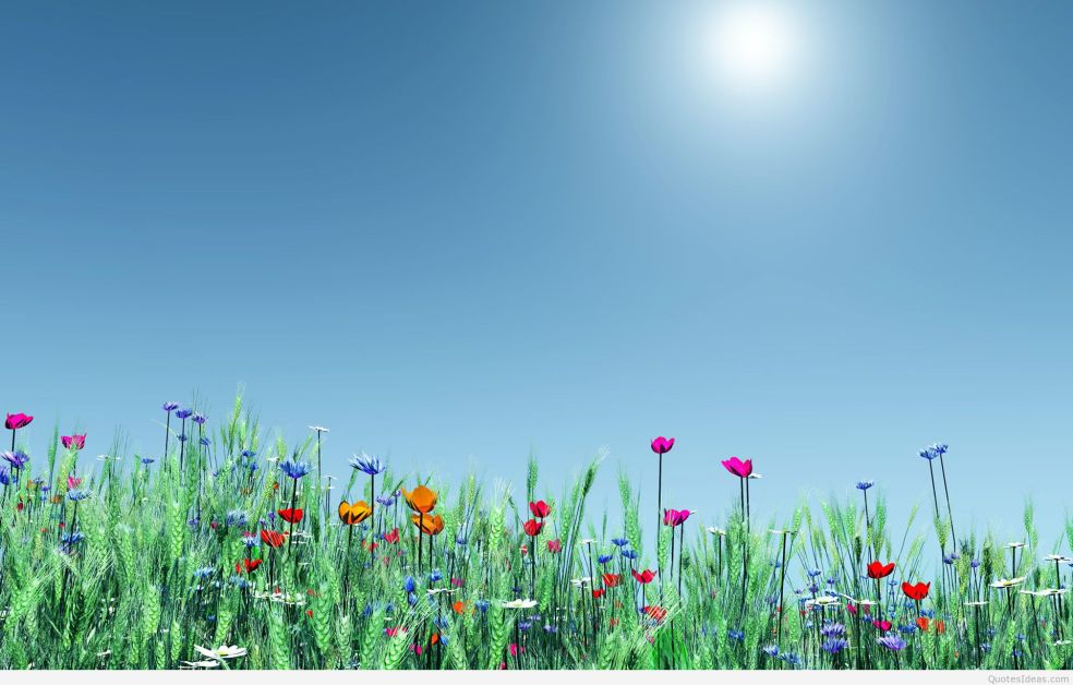 spring-wallpaper-6